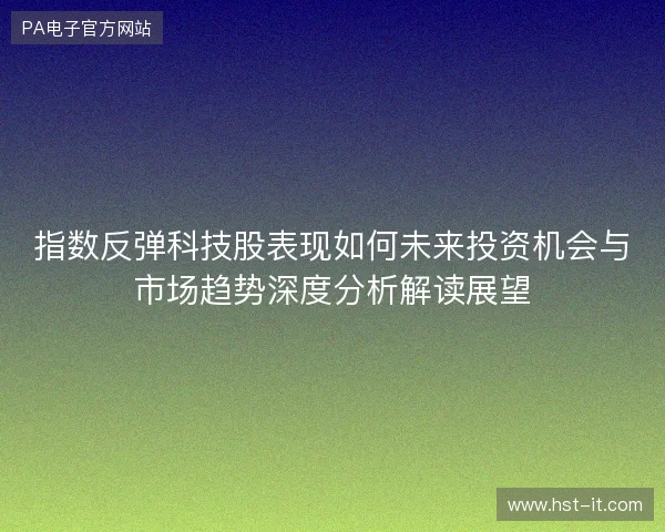 指数反弹科技股表现如何未来投资机会与市场趋势深度分析解读展望